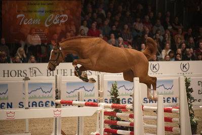 Dansk varmblod hingstekåring.
løssprngning 3års
Nøgleord: casper ask