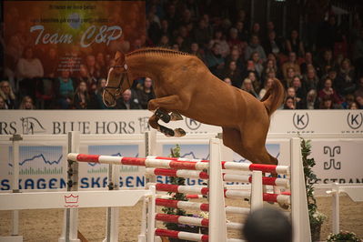 Dansk varmblod hingstekåring.
løssprngning 3års
Nøgleord: casper ask