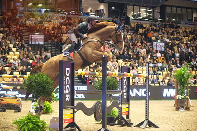 Dansk varmblod hingstekåring.
Skibby hc big tour 150cm
Nøgleord: torben frandsen;ferdinand 273