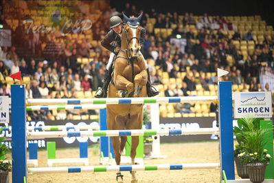 Dansk varmblod hingstekåring.
Skibby hc big tour 150cm
Nøgleord: torben frandsen;ferdinand 273