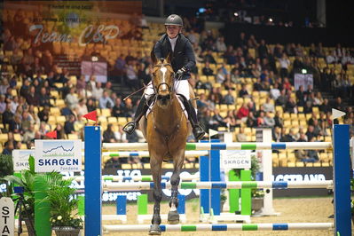 Dansk varmblod hingstekåring.
Skibby hc big tour 150cm
Nøgleord: stine cassoe jacobsen;conshillo