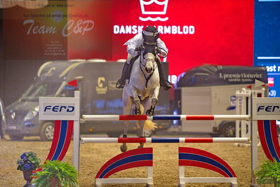 Dansk varmblod hingstekåring.
galashow-kustumespringnin
Nøgleord: georgia timmermann;puge møllers sif