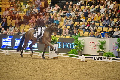 Dansk varmblod hingstekåring.
grandprix special 5
Nøgleord: shingo hayashi;scolari 4