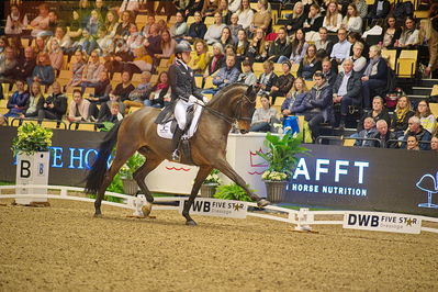 Dansk varmblod hingstekåring.
grandprix special 5
Nøgleord: shingo hayashi;scolari 4