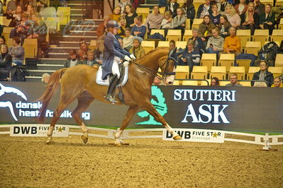 Dansk varmblod hingstekåring.
grandprix special 5
Nøgleord: michelle hagman hassink;chagall h