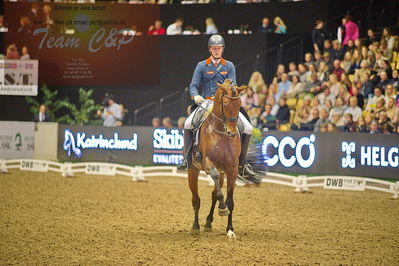 Dansk varmblod hingstekåring.
grandprix special 5
Nøgleord: diederik von silfhout;expression n o p