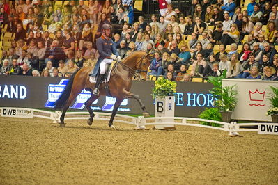 Dansk varmblod hingstekåring.
grandprix special 5
Nøgleord: diederik von silfhout;expression n o p