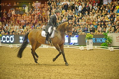 Dansk varmblod hingstekåring.
grandprix special 5
Nøgleord: severo jurado lopez;fiontina