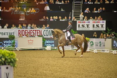 Dansk varmblod hingstekåring.
grandprix special 5
Nøgleord: cathrine dufour;bohemian