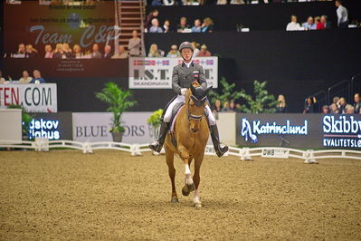 Dansk varmblod hingstekåring.
grandprix special 5
Nøgleord: anders dahl;fidelio van het bloemenhof