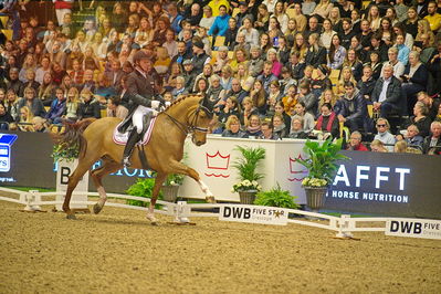 Dansk varmblod hingstekåring.
grandprix special 5
Nøgleord: anders dahl;fidelio van het bloemenhof