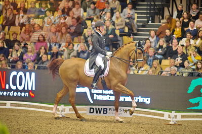 Dansk varmblod hingstekåring.
grandprix special 5
Nøgleord: anders dahl;fidelio van het bloemenhof