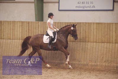 Vallensbæk refion 1
4års hopperr
Nøgleord: mette brandt;skyline horsebo