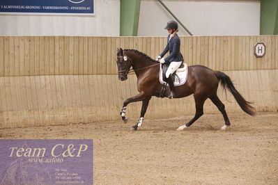 Sadelkåring 3 års og løsspring
Vallensbæk ridecenter
Nøgleord: hejbøls graceful