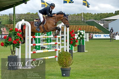 Showjumping
Horseware 7-årschampionat - Final
Nøgleord: marcus westergren;crunch air
