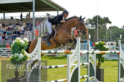 Showjumping
Horseware 7-årschampionat - Final
Nøgleord: marcus westergren;crunch air