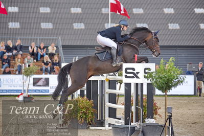 Absolut horses
2. kval og finale Agria DRF Mesterskab U18 - MA2 Springning Heste (140 cm)
Nøgleord: fie gejhede olsen;fascination