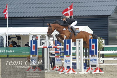 Absolut horses
ma 2 140cm
Nøgleord: nanna josephine crown;ab's quick and careful