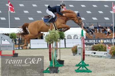 Absolut horses
ma 2 140cm
Nøgleord: martin neeergaard;ne vlinder vd withoeve
