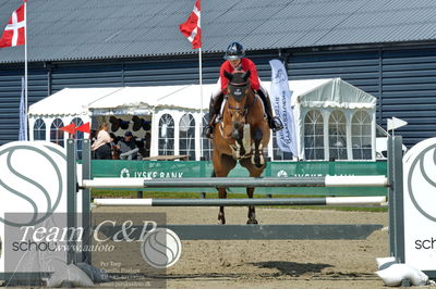 Absolut horses
youngster finale
Nøgleord: shannon ketterle;first jolie