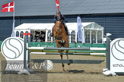 Absolut horses
youngster finale
Nøgleord: jonathan hvalsøe saul;gradje