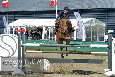 Absolut horses
youngster finale
Nøgleord: linnea ericsson carey;con vados