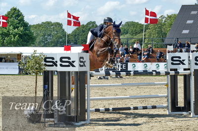 Absolut horses
youngster finale
Nøgleord: rie rose lindegren roed;ccalalou