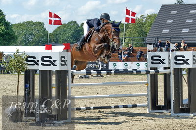 Absolut horses
youngster finale
Nøgleord: rie rose lindegren roed;ccalalou