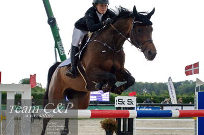 Absolut horses
1.kval dm senior
Nøgleord: renee ulvsberg;celeste balslev