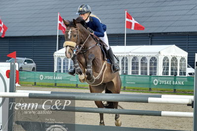 Absolut horses
la2 120cm
Nøgleord: rasmine laudrup;clear fight