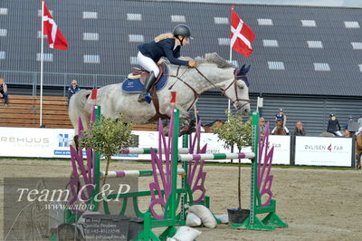 Absolut horses
la2 120cm
Nøgleord: olivia neergaard;staedtebahn's cornwell