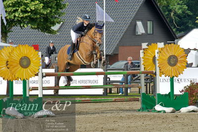 Absolut horses
la2 120cm
Nøgleord: nicka normann langholm;cherrio