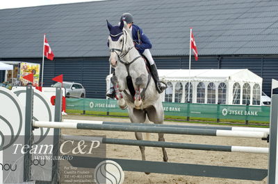 Absolut horses
la2 120cm
Nøgleord: jack ray nielsen;gerdings  carrie