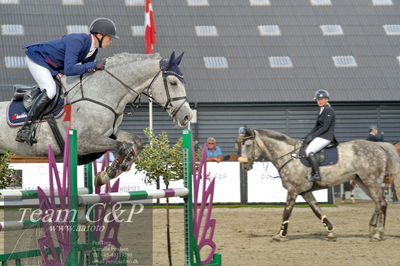 Absolut horses
la2 120cm
Nøgleord: jack ray nielsen;gerdings  carrie