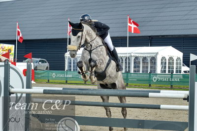 Absolut horses
la2 120cm
Nøgleord: rikke korntved nissen;bøgelys fire ball