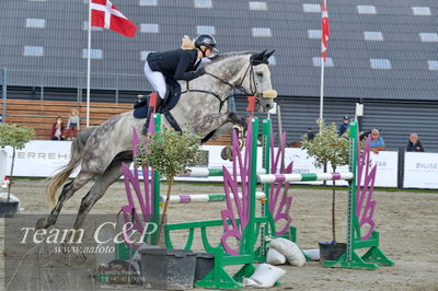 Absolut horses
la2 120cm
Nøgleord: rikke korntved nissen;bøgelys fire ball