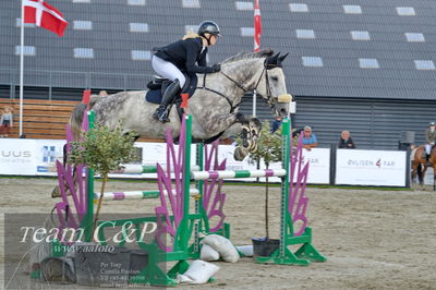 Absolut horses
la2 120cm
Nøgleord: rikke korntved nissen;bøgelys fire ball