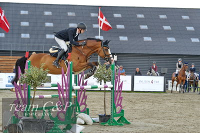 Absolut horses
la2 120cm
Nøgleord: rasmus krebs manniche;gammelbys             heartboy