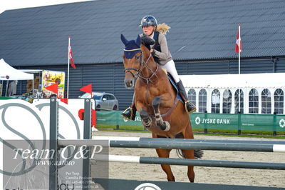 Absolut horses
la2 120cm
Nøgleord: clara roesgaard kristensen;cappucino pr