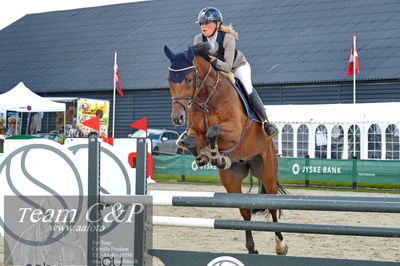 Absolut horses
la2 120cm
Nøgleord: clara roesgaard kristensen;cappucino pr