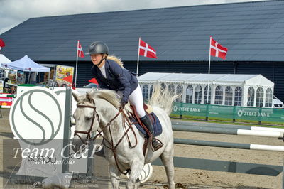 Absolut horses
la2 120cm
Nøgleord: matilde baaring kjærgaard;calgary bgm z