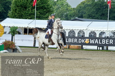 Absolut horses
la2 120cm
Nøgleord: matilde baaring kjærgaard;calgary bgm z