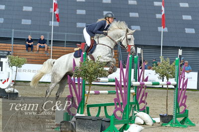 Absolut horses
la2 120cm
Nøgleord: matilde baaring kjærgaard;calgary bgm z