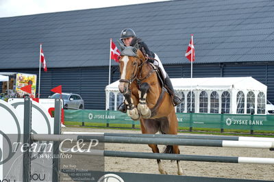 Absolut horses
la2 120cm
Nøgleord: karoline vistensen graversen;farida