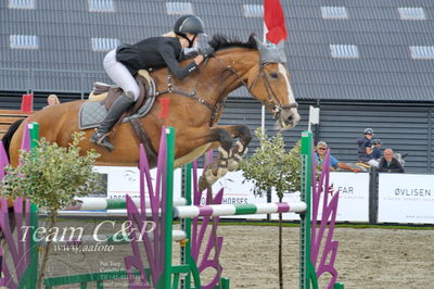 Absolut horses
la2 120cm
Nøgleord: karoline vistensen graversen;farida