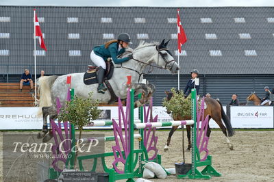 Absolut horses
la2 120cm
Nøgleord: linnea ildsøe madsen;medina-em