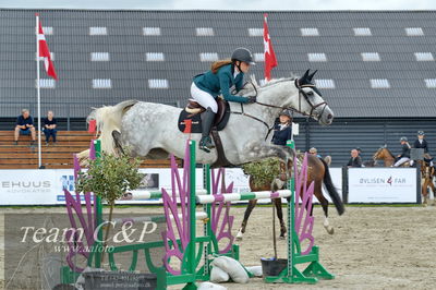 Absolut horses
la2 120cm
Nøgleord: linnea ildsøe madsen;medina-em