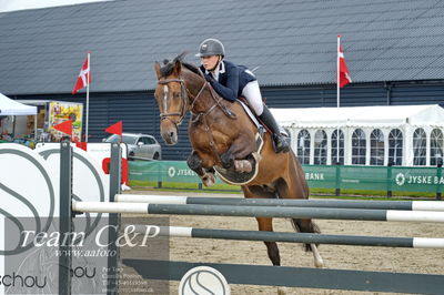 Absolut horses
la2 120cm
Nøgleord: nikoline gulstad;natalon van't krekenhof