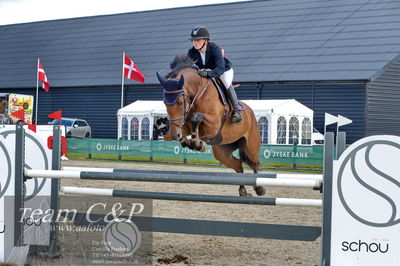 Absolut horses
la2 120cm
Nøgleord: maria bjørnkjær bennedsgaard;kate slottie