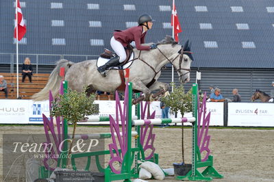 Absolut horses
la2 120cm
Nøgleord: julie højer thomsen;untouchable olympic